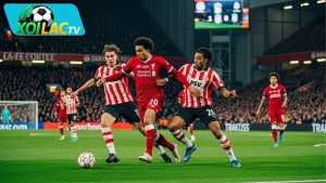 Nhận định trận đấu 03h00 ngày 27/11: Liverpool vs PSV